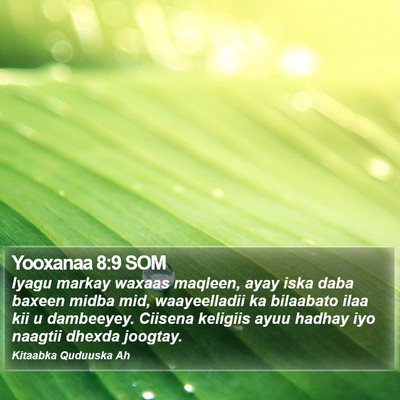 Yooxanaa 8:9 SOM Bible Verse Image