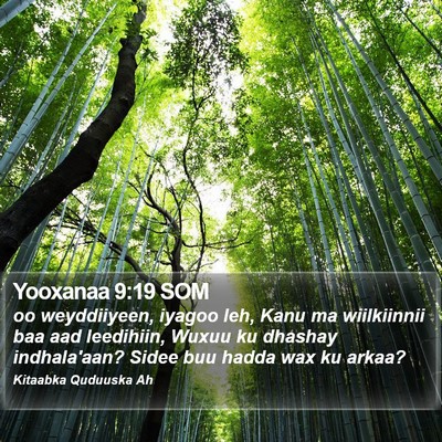 Yooxanaa 9:19 SOM Bible Verse Image