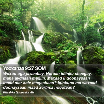 Yooxanaa 9:27 SOM Bible Verse Image