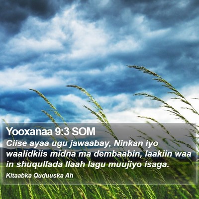Yooxanaa 9:3 SOM Bible Verse Image