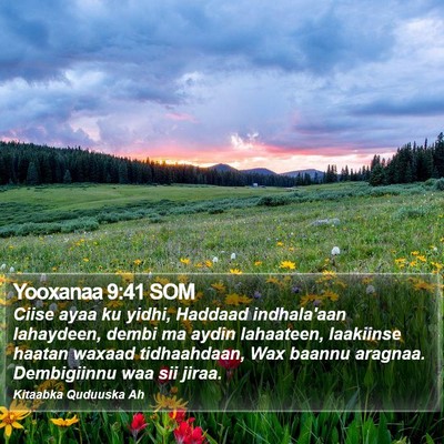 Yooxanaa 9:41 SOM Bible Verse Image