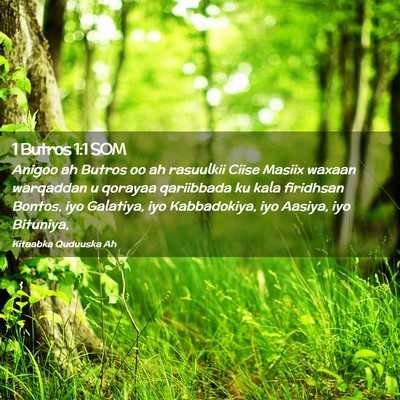 Picture 02 - 1 Butros 1:1 SOM - Anigoo ah Butros oo ah rasuulkii Ciise Masiix - Bible Verse Picture
