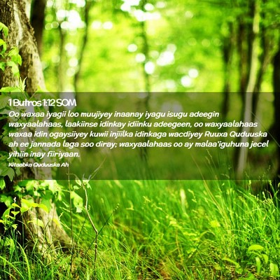 Picture 02 - 1 Butros 1:12 SOM - Oo waxaa iyagii loo muujiyey inaanay iyagu isugu - Bible Verse Picture