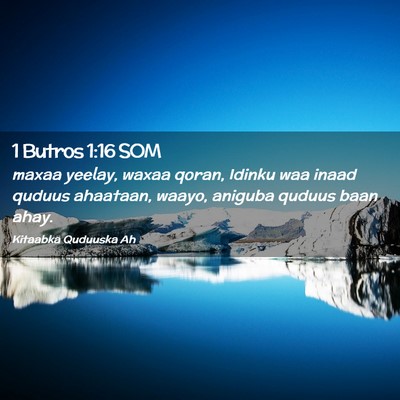 Picture 02 - 1 Butros 1:16 SOM - maxaa yeelay, waxaa qoran, Idinku waa inaad - Bible Verse Picture