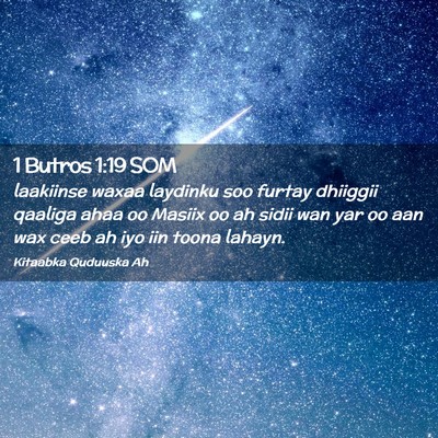 Picture 02 - 1 Butros 1:19 SOM - laakiinse waxaa laydinku soo furtay dhiiggii - Bible Verse Picture