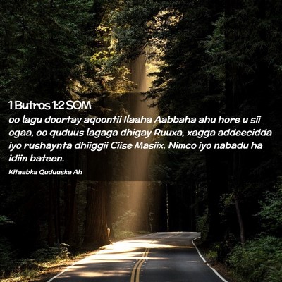 Picture 02 - 1 Butros 1:2 SOM - oo lagu doortay aqoontii Ilaaha Aabbaha ahu hore - Bible Verse Picture