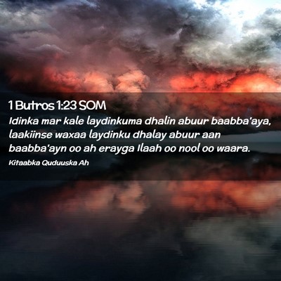 Picture 02 - 1 Butros 1:23 SOM - Idinka mar kale laydinkuma dhalin abuur - Bible Verse Picture