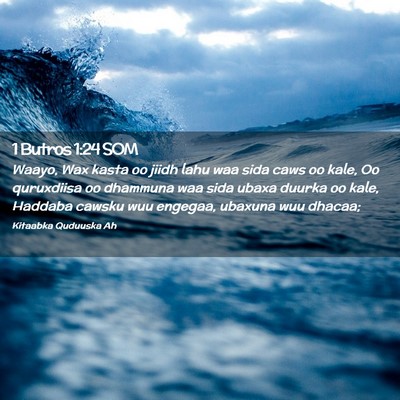 Picture 02 - 1 Butros 1:24 SOM - Waayo, Wax kasta oo jiidh lahu waa sida caws oo - Bible Verse Picture