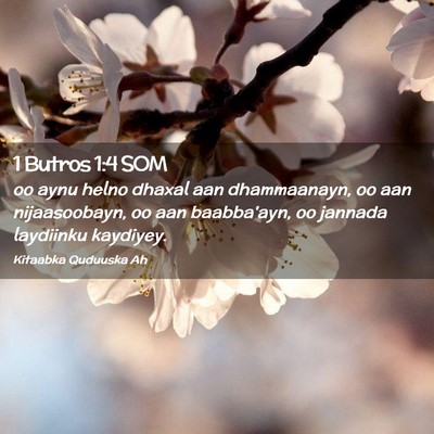 Picture 02 - 1 Butros 1:4 SOM - oo aynu helno dhaxal aan dhammaanayn, oo aan - Bible Verse Picture