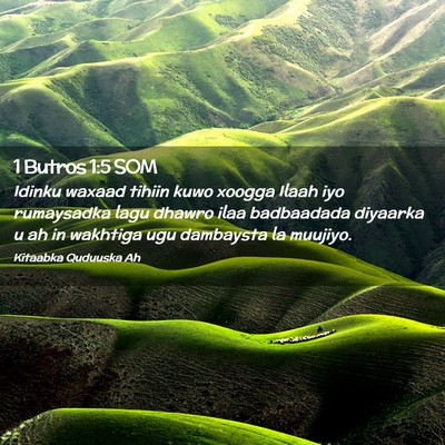 Picture 02 - 1 Butros 1:5 SOM - Idinku waxaad tihiin kuwo xoogga Ilaah iyo - Bible Verse Picture