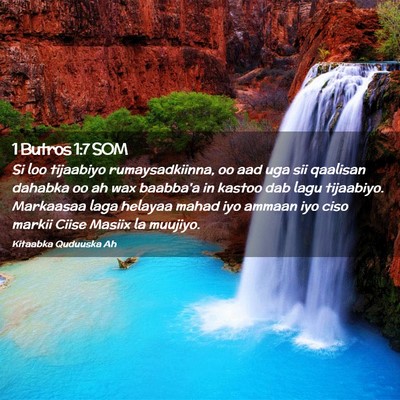 Picture 02 - 1 Butros 1:7 SOM - Si loo tijaabiyo rumaysadkiinna, oo aad uga sii - Bible Verse Picture
