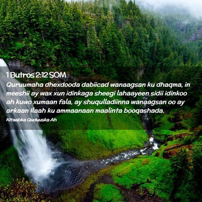 Picture 02 - 1 Butros 2:12 SOM - Quruumaha dhexdooda dabiicad wanaagsan ku dhaqma, - Bible Verse Picture