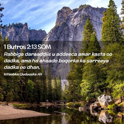 Picture 02 - 1 Butros 2:13 SOM - Rabbiga daraaddiis u addeeca amar kasta oo dadka, - Bible Verse Picture