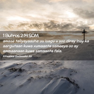 Picture 02 - 1 Butros 2:14 SOM - amase taliyayaasha uu isagu u soo diray inay ka - Bible Verse Picture