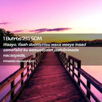 Picture 02 - 1 Butros 2:15 SOM - Waayo, Ilaah doonistiisu waxa weeye inaad - Bible Verse Picture