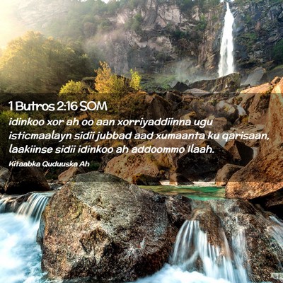 Picture 02 - 1 Butros 2:16 SOM - idinkoo xor ah oo aan xorriyaddiinna ugu - Bible Verse Picture