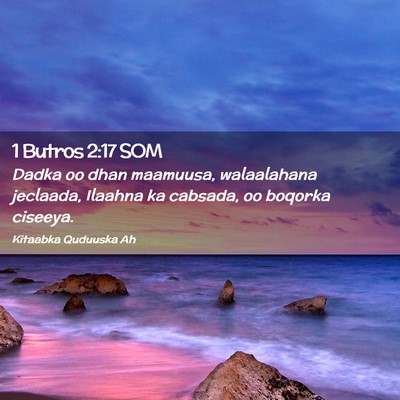 Picture 02 - 1 Butros 2:17 SOM - Dadka oo dhan maamuusa, walaalahana jeclaada, - Bible Verse Picture