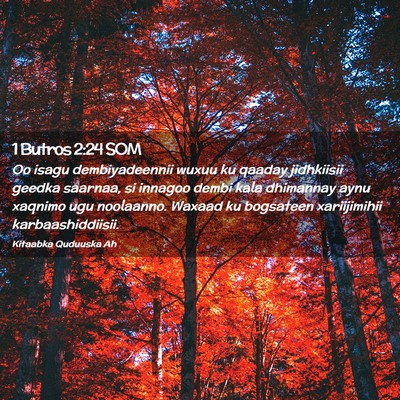 Picture 02 - 1 Butros 2:24 SOM - Oo isagu dembiyadeennii wuxuu ku qaaday - Bible Verse Picture