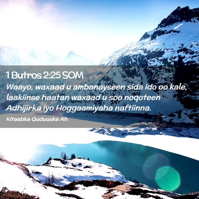 Picture 02 - 1 Butros 2:25 SOM - Waayo, waxaad u ambanayseen sida ido oo kale, - Bible Verse Picture