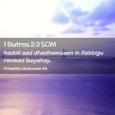 Picture 02 - 1 Butros 2:3 SOM - haddii aad dhadhamiseen in Rabbigu raxmad - Bible Verse Picture