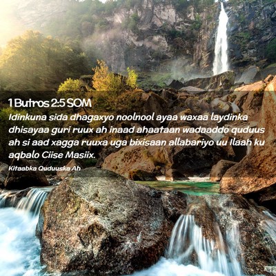 Picture 02 - 1 Butros 2:5 SOM - Idinkuna sida dhagaxyo noolnool ayaa waxaa - Bible Verse Picture
