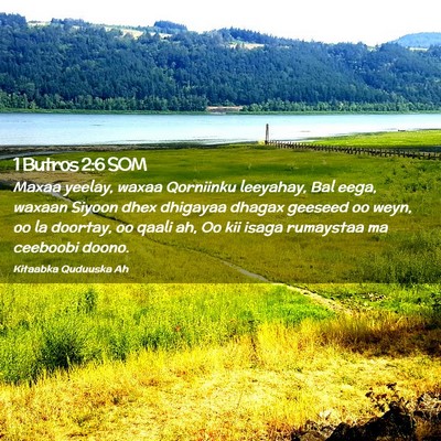 Picture 02 - 1 Butros 2:6 SOM - Maxaa yeelay, waxaa Qorniinku leeyahay, Bal eega, - Bible Verse Picture