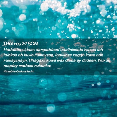 Picture 02 - 1 Butros 2:7 SOM - Haddaba sidaas daraaddeed qaalinimada waxaa leh - Bible Verse Picture