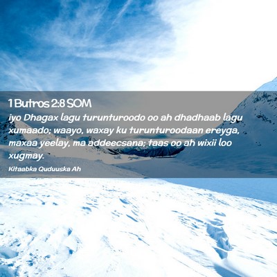 Picture 02 - 1 Butros 2:8 SOM - iyo Dhagax lagu turunturoodo oo ah dhadhaab lagu - Bible Verse Picture