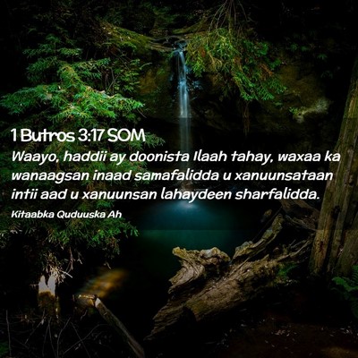 Picture 02 - 1 Butros 3:17 SOM - Waayo, haddii ay doonista Ilaah tahay, waxaa ka - Bible Verse Picture