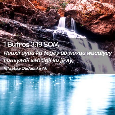 Picture 02 - 1 Butros 3:19 SOM - Ruuxii ayuu ku tegey oo wuxuu wacdiyey ruuxyadii - Bible Verse Picture