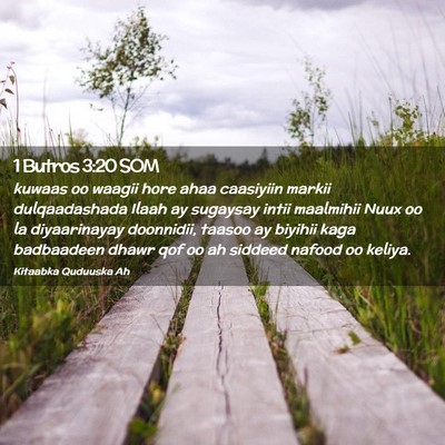 Picture 02 - 1 Butros 3:20 SOM - kuwaas oo waagii hore ahaa caasiyiin markii - Bible Verse Picture