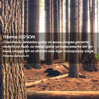 Picture 02 - 1 Butros 3:22 SOM - Ciise Masiix jannaduu galay oo wuxuu joogaa - Bible Verse Picture