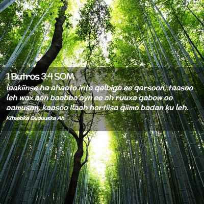 Picture 02 - 1 Butros 3:4 SOM - laakiinse ha ahaato inta qalbiga ee qarsoon, - Bible Verse Picture