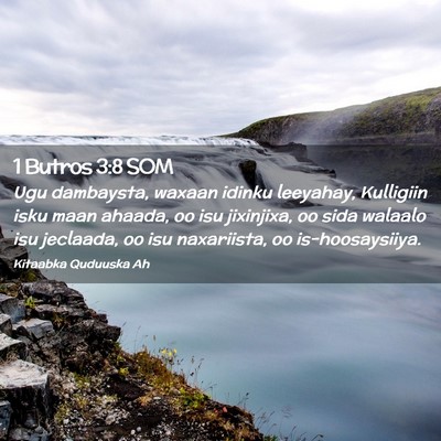 Picture 02 - 1 Butros 3:8 SOM - Ugu dambaysta, waxaan idinku leeyahay, Kulligiin - Bible Verse Picture