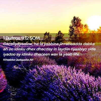 Picture 02 - 1 Butros 4:12 SOM - Gacaliyayaalow, ha la yaabina jirrabaadda dabka - Bible Verse Picture