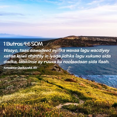 Picture 02 - 1 Butros 4:6 SOM - Waayo, taas aawadeed injiilka waxaa lagu wacdiyey - Bible Verse Picture