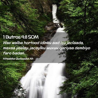 Picture 02 - 1 Butros 4:8 SOM - Wax walba hortood idinku aad isu jeclaada, maxaa - Bible Verse Picture