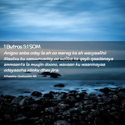 Picture 02 - 1 Butros 5:1 SOM - Anigoo anba oday la ah oo marag ka ah waxyaalihii - Bible Verse Picture