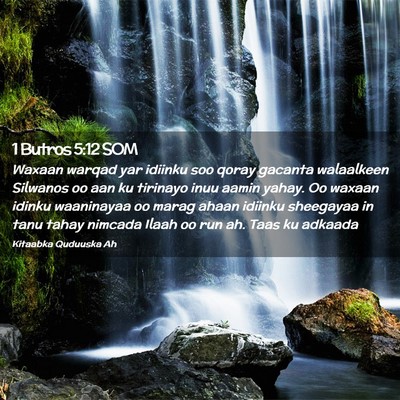 Picture 02 - 1 Butros 5:12 SOM - Waxaan warqad yar idiinku soo qoray gacanta - Bible Verse Picture