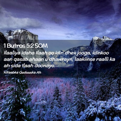 Picture 02 - 1 Butros 5:2 SOM - Ilaaliya idaha Ilaah oo idin dhex jooga, idinkoo - Bible Verse Picture