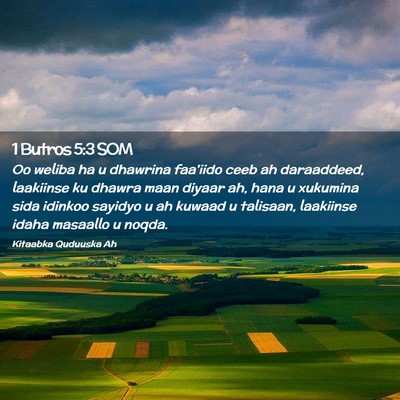 Picture 02 - 1 Butros 5:3 SOM - Oo weliba ha u dhawrina faa'iido ceeb ah - Bible Verse Picture