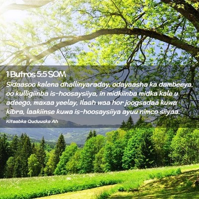 Picture 02 - 1 Butros 5:5 SOM - Sidaasoo kalena dhallinyaraday, odayaasha ka - Bible Verse Picture