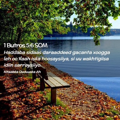 Picture 02 - 1 Butros 5:6 SOM - Haddaba sidaas daraaddeed gacanta xoogga leh oo - Bible Verse Picture