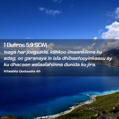 Picture 02 - 1 Butros 5:9 SOM - Isaga hor joogsada, idinkoo iimaankiinna ku adag, - Bible Verse Picture