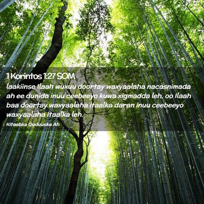 Picture 02 - 1 Korintos 1:27 SOM - laakiinse Ilaah wuxuu doortay waxyaalaha - Bible Verse Picture