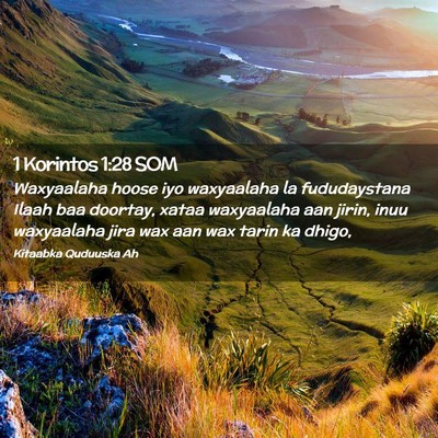 Picture 02 - 1 Korintos 1:28 SOM - Waxyaalaha hoose iyo waxyaalaha la fududaystana - Bible Verse Picture
