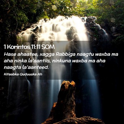 Picture 02 - 1 Korintos 11:11 SOM - Hase ahaatee, xagga Rabbiga naagtu waxba ma aha - Bible Verse Picture