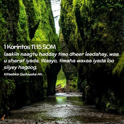 Picture 02 - 1 Korintos 11:15 SOM - laakiin naagtu hadday timo dheer leedahay, waa u - Bible Verse Picture