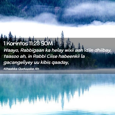 Picture 02 - 1 Korintos 11:23 SOM - Waayo, Rabbigaan ka helay wixii aan idiin - Bible Verse Picture