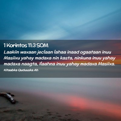 Picture 02 - 1 Korintos 11:3 SOM - Laakiin waxaan jeclaan lahaa inaad ogaataan inuu - Bible Verse Picture